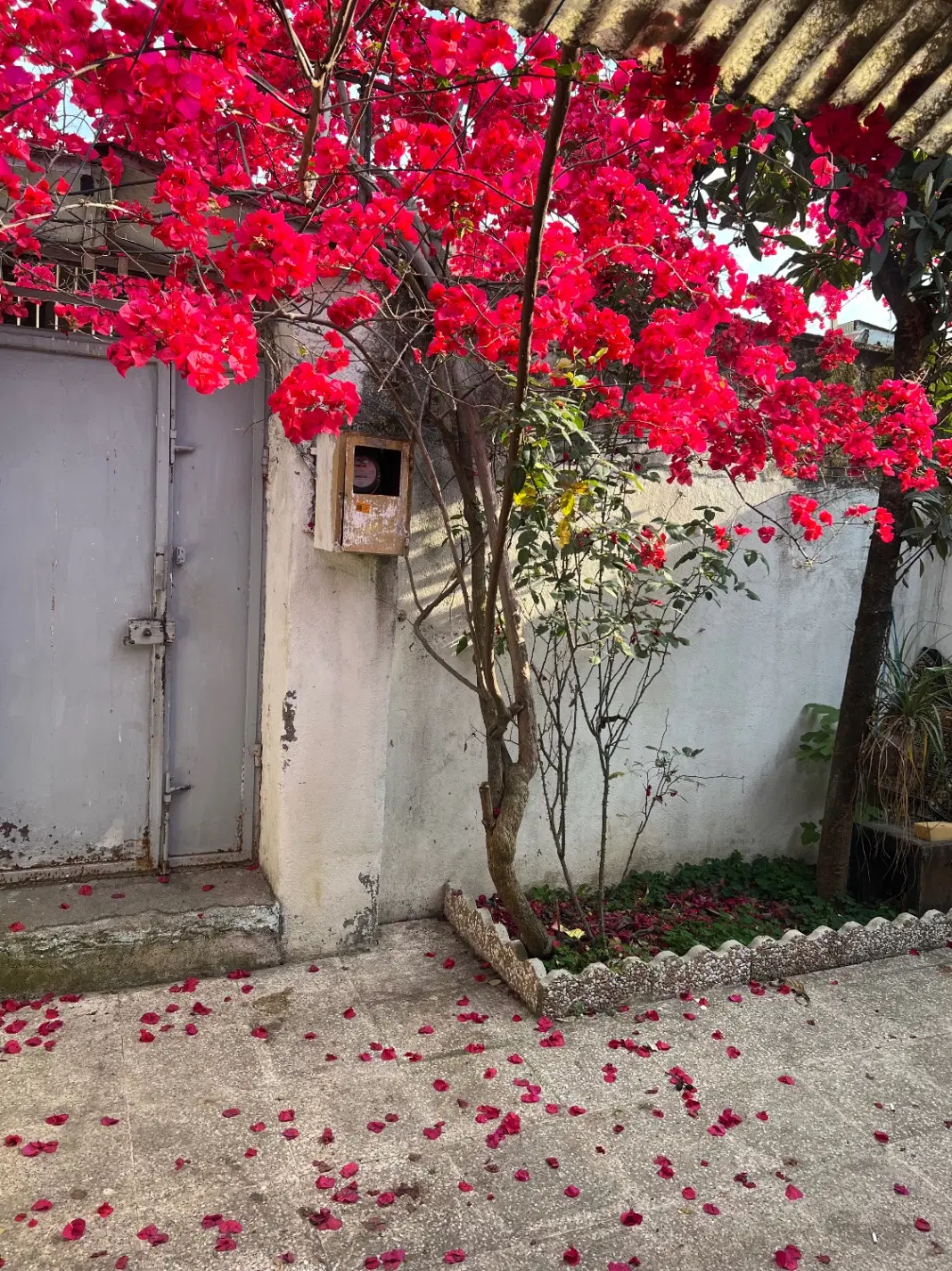 تصویر املاک 69277