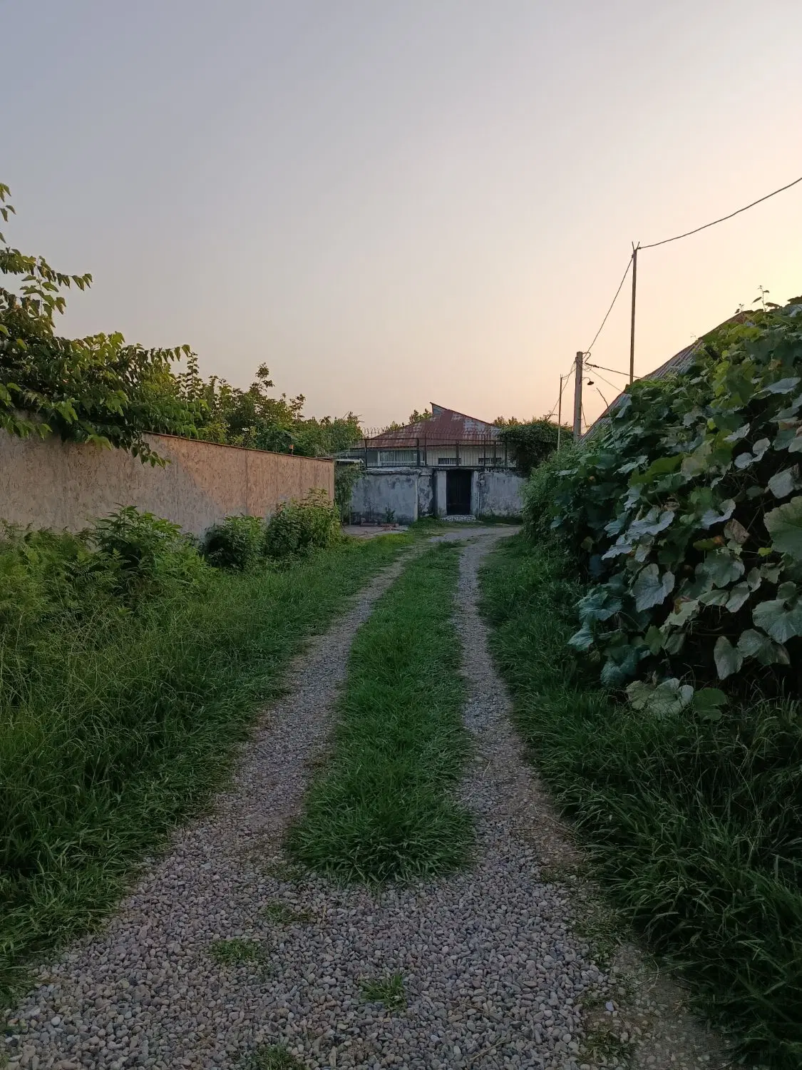 تصویر املاک 74986