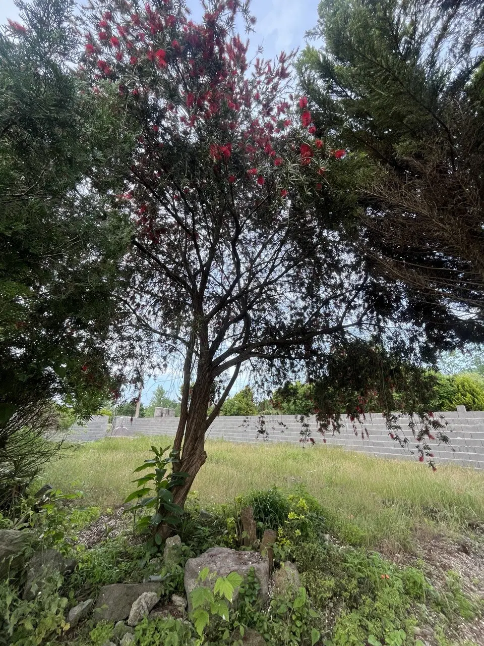 تصویر املاک 101510