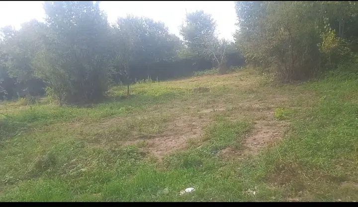 تصویر املاک 125360