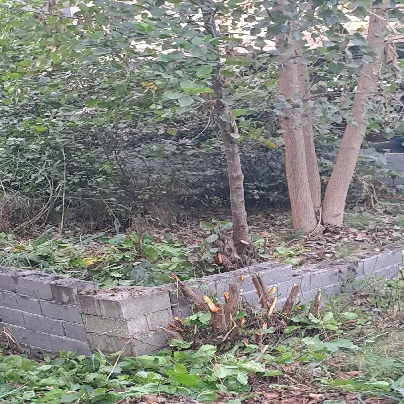 تصویر املاک 119525