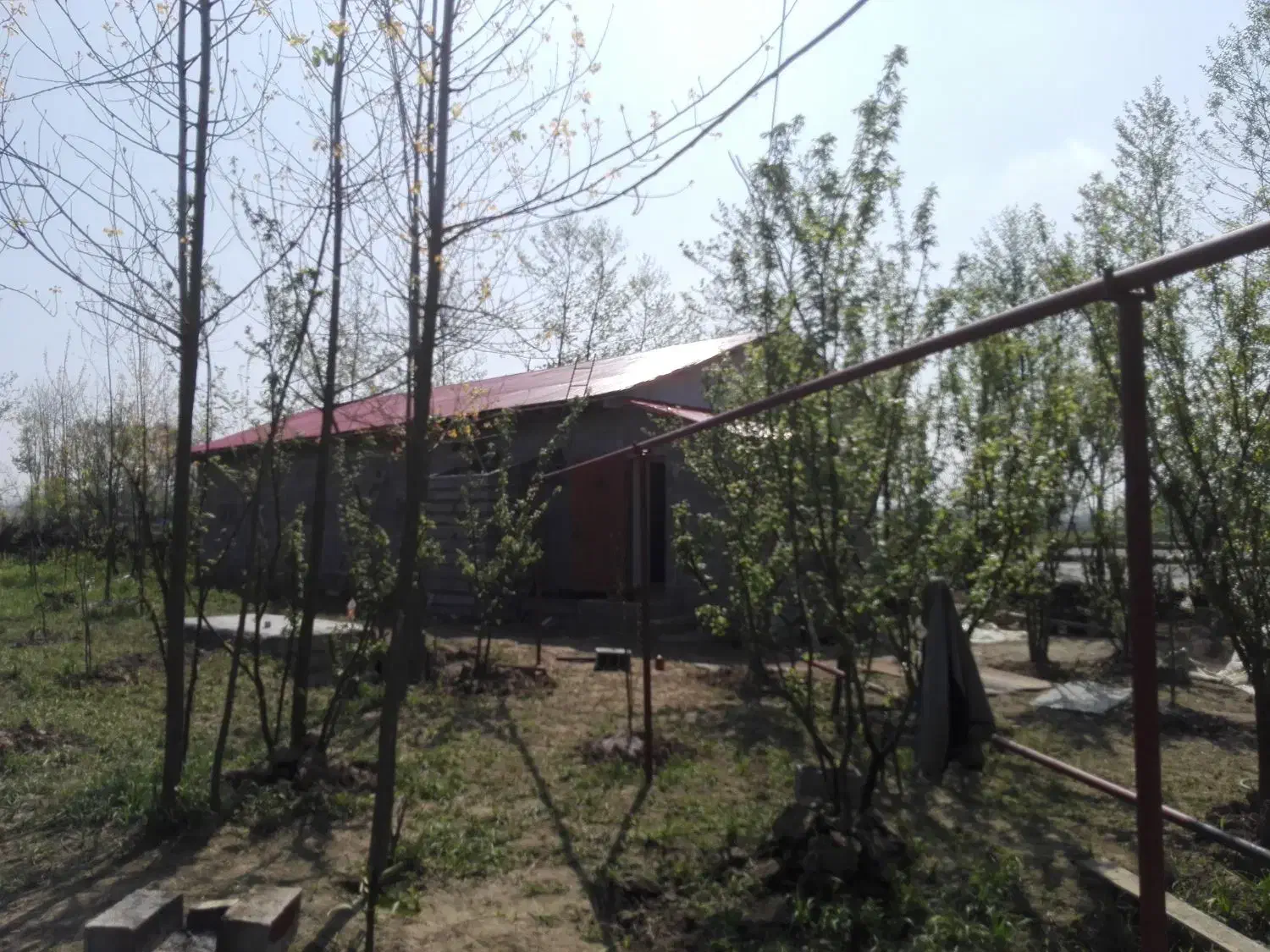 تصویر املاک 36387