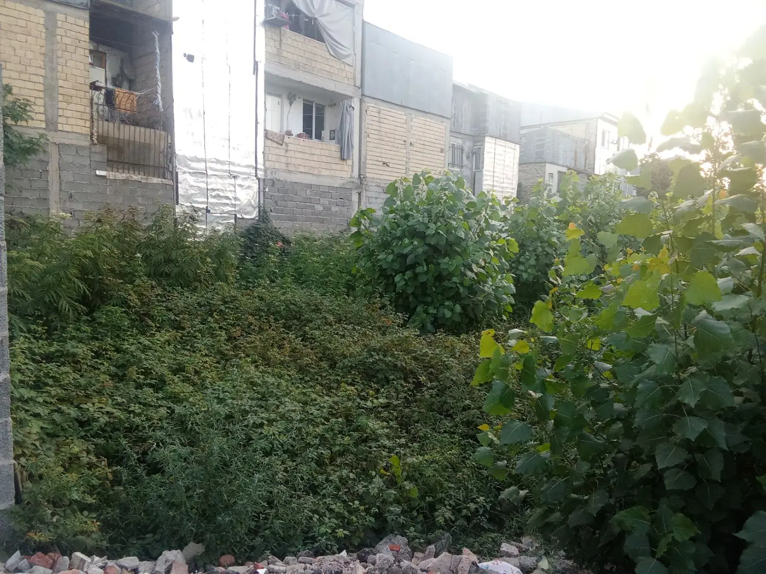 تصویر املاک 110918