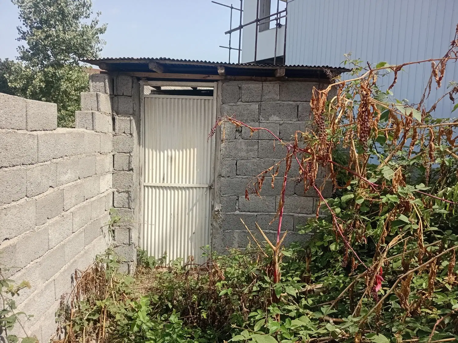 تصویر املاک 116814