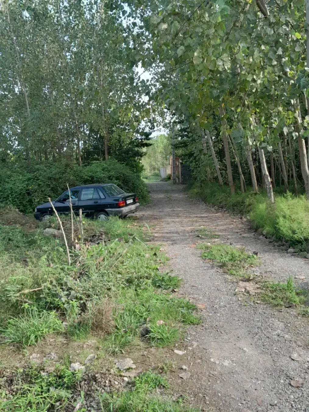 تصویر املاک 121813