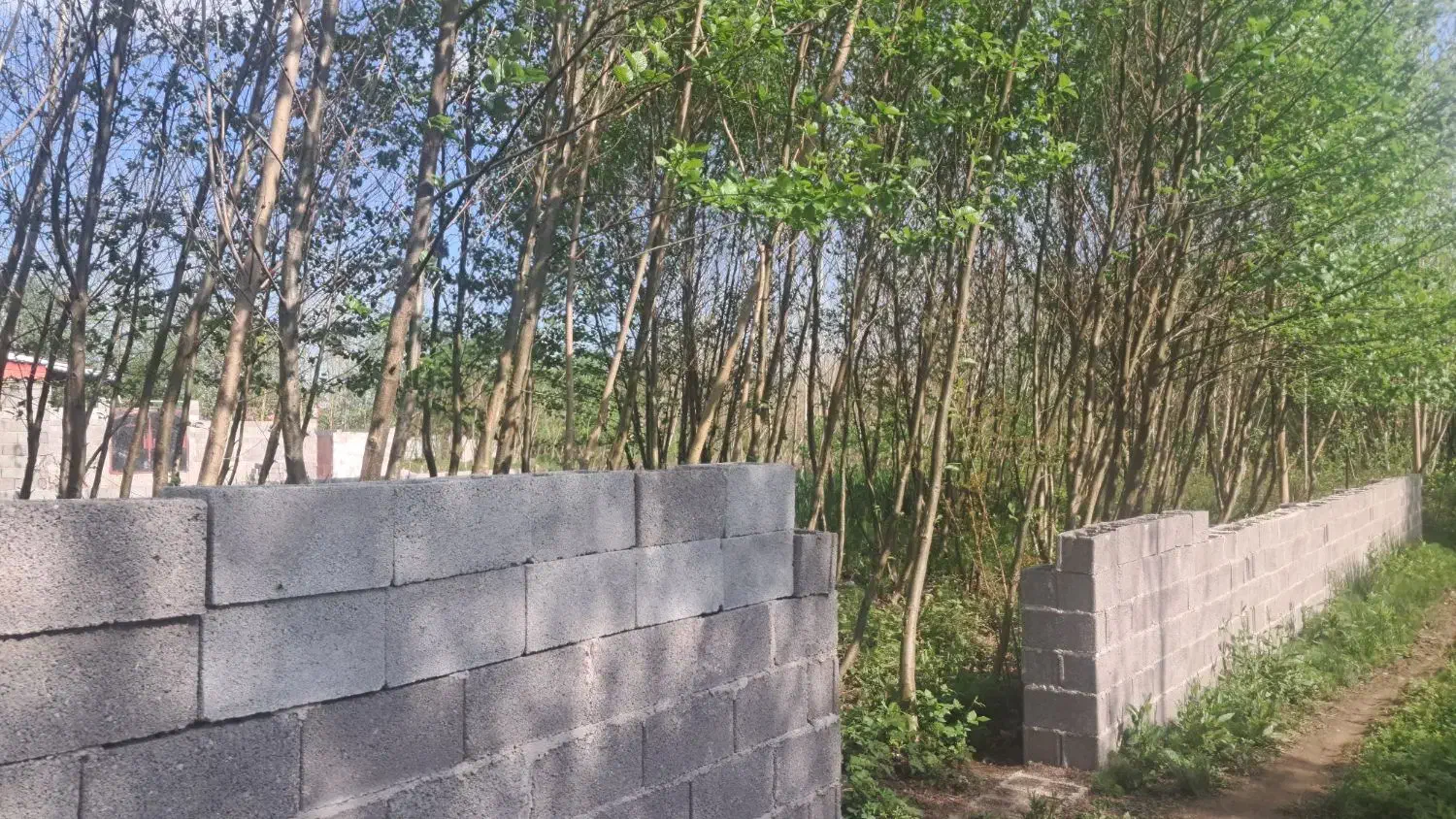 تصویر املاک 35451