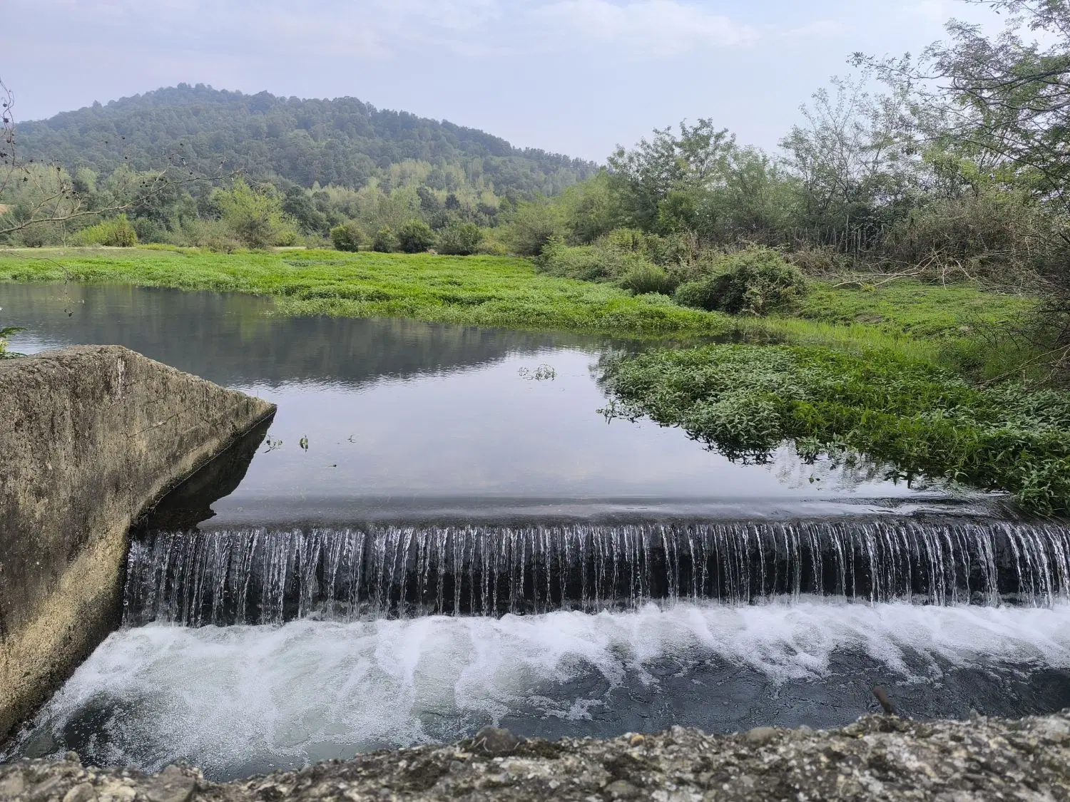 تصویر املاک 134413