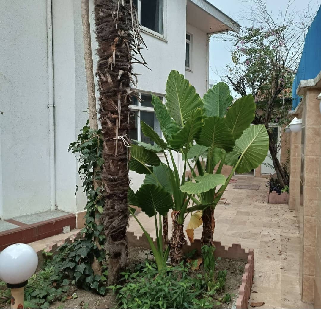 تصویر املاک 3064