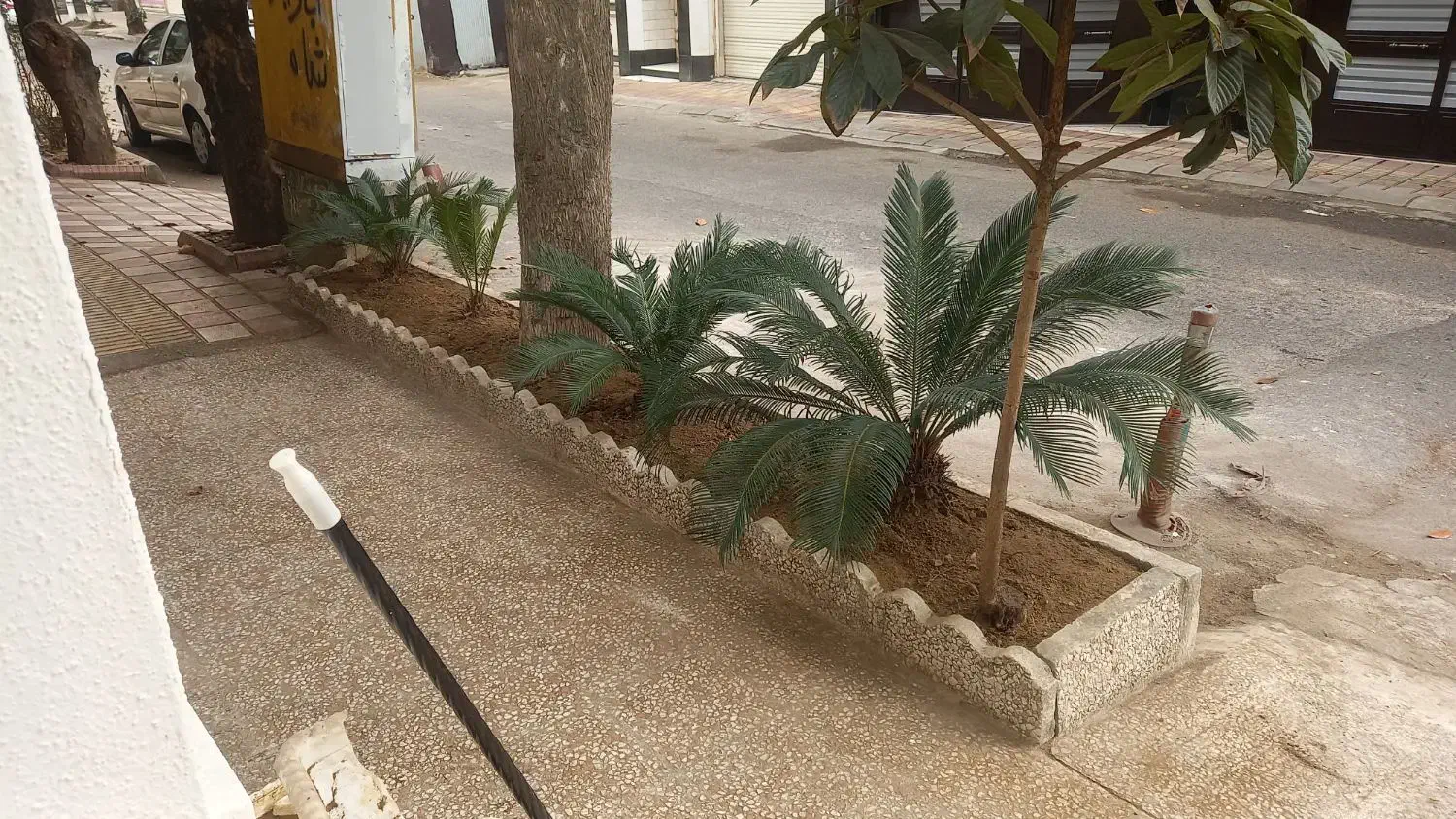 تصویر املاک 17022