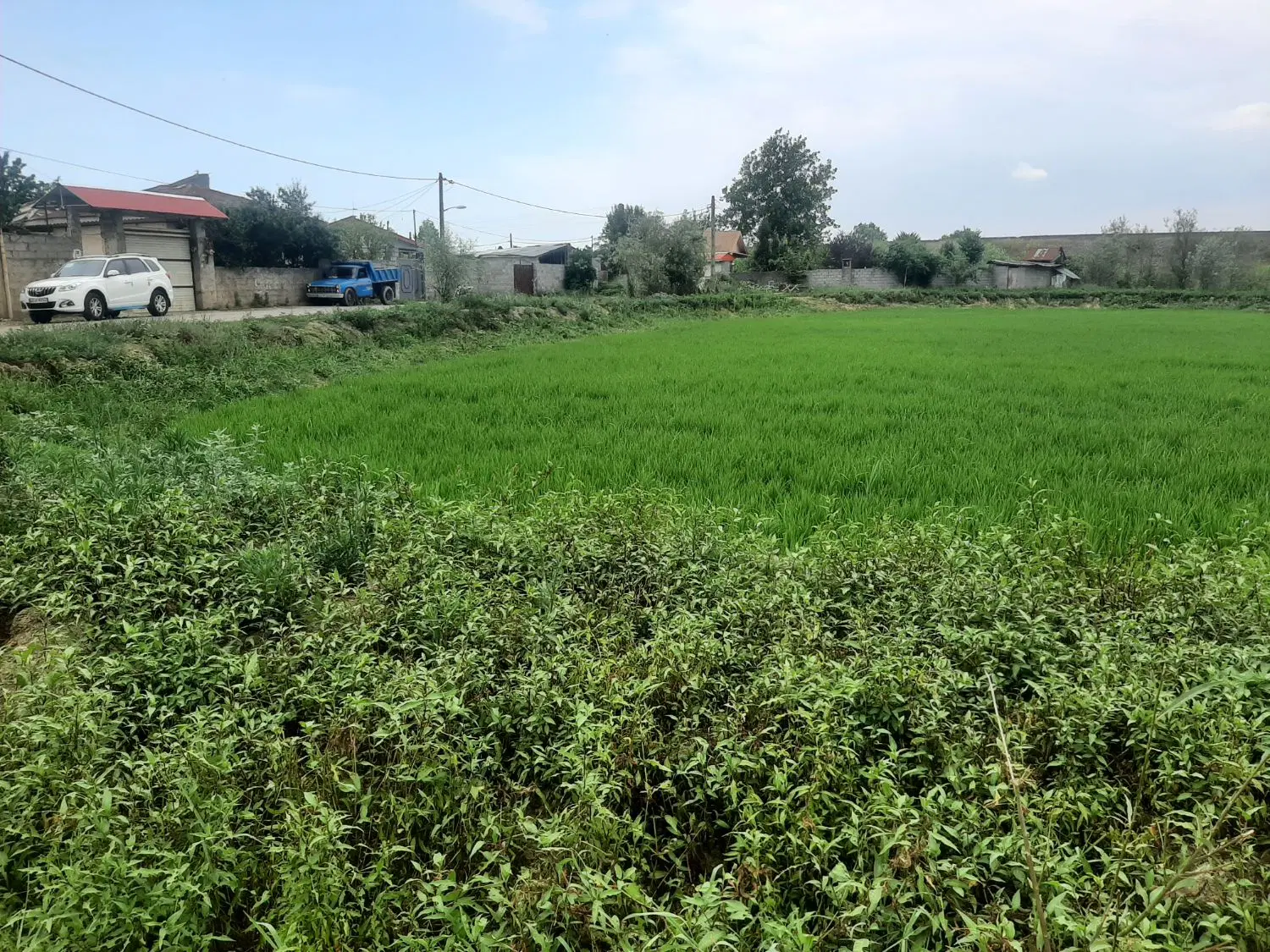 تصویر املاک 64402