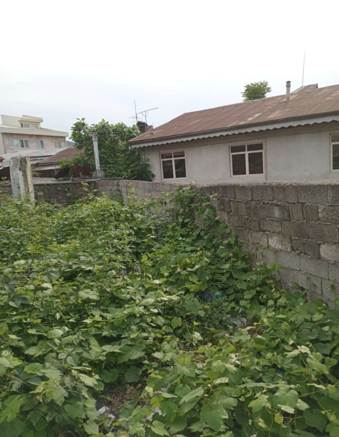 تصویر املاک 10515