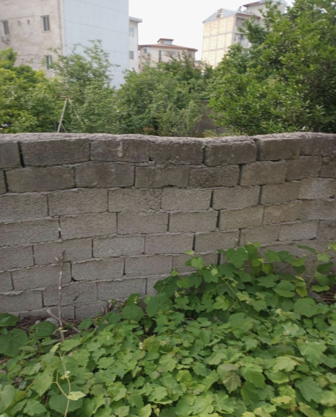 تصویر املاک 10518