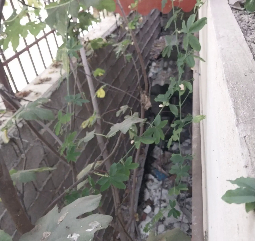 تصویر املاک 15710