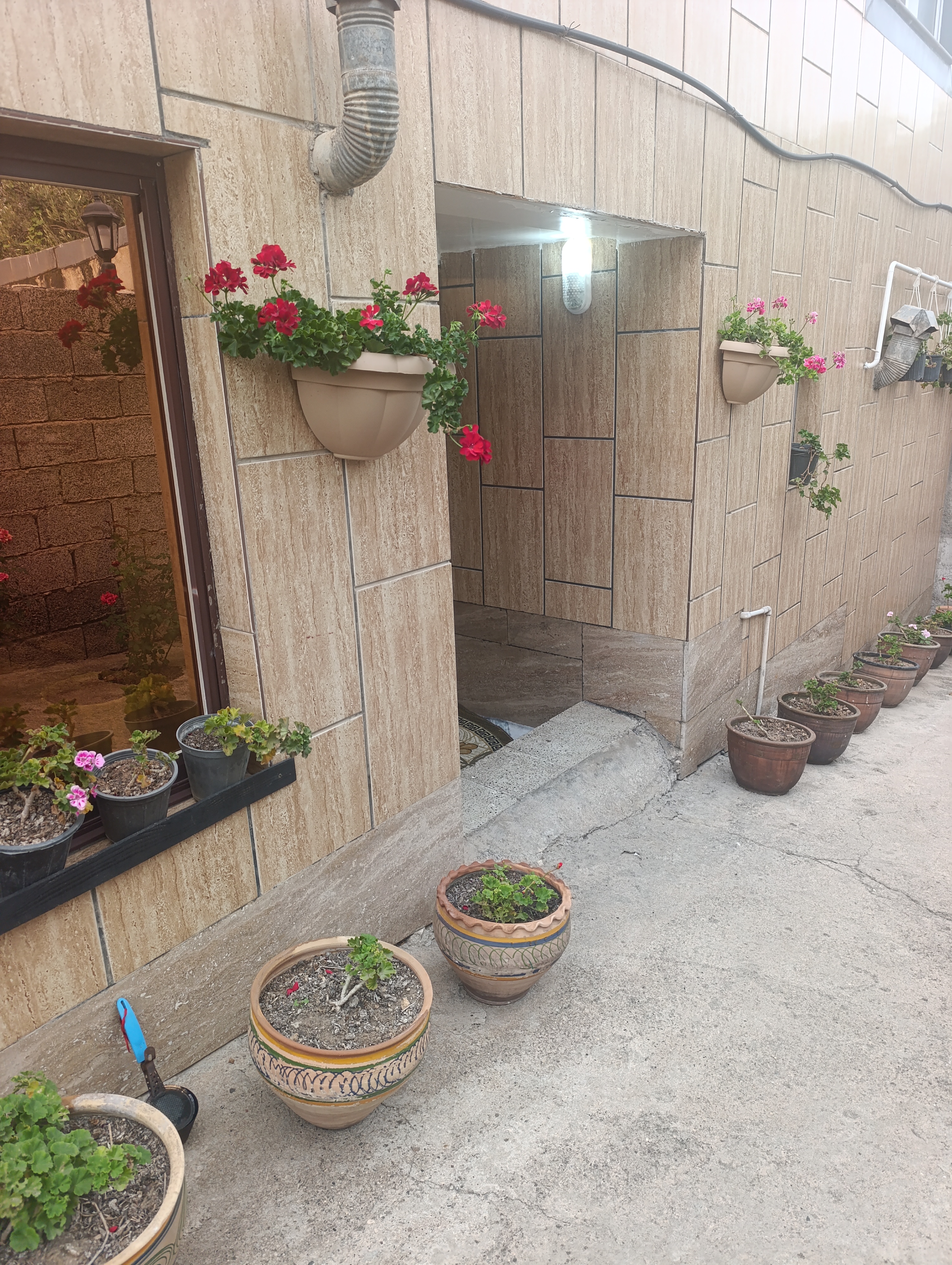 تصویر املاک 131445