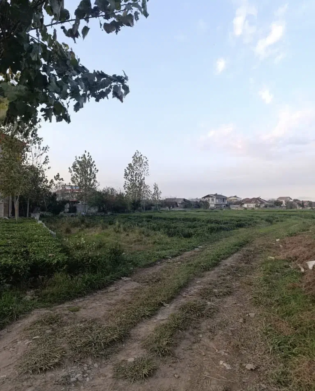 تصویر املاک 21948