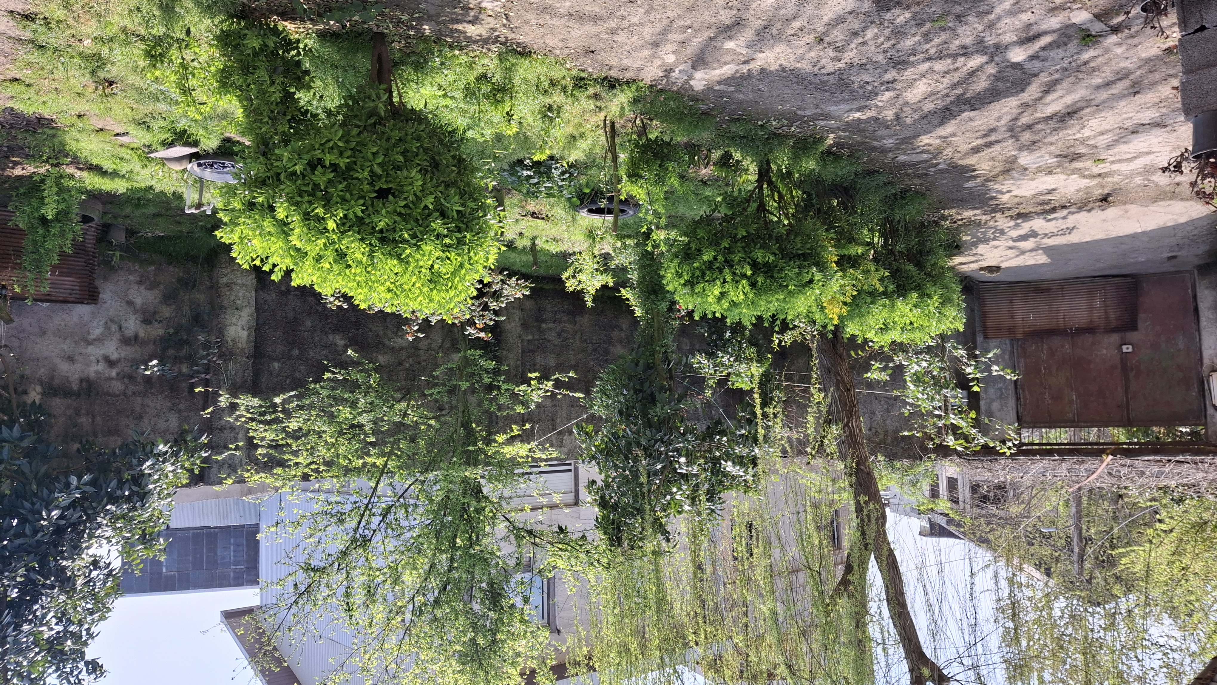 تصویر املاک 6348
