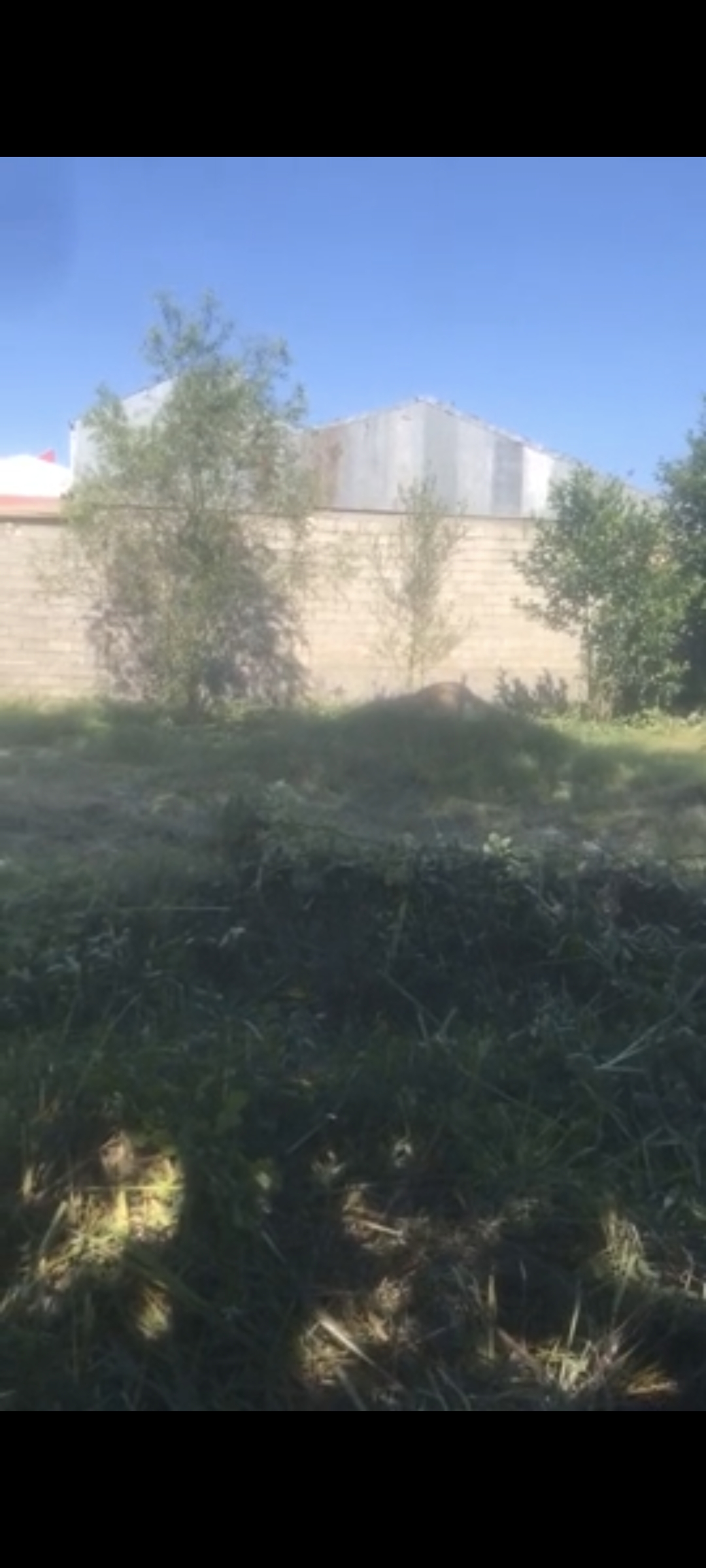 تصویر املاک 32845