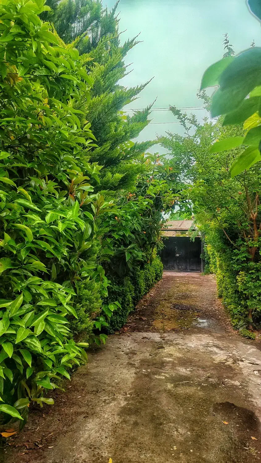 تصویر املاک 32999