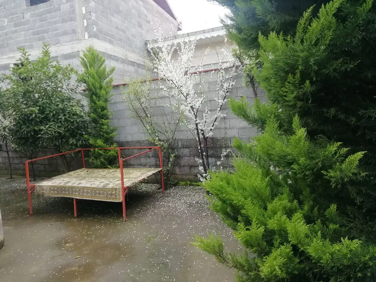 تصویر املاک 32994