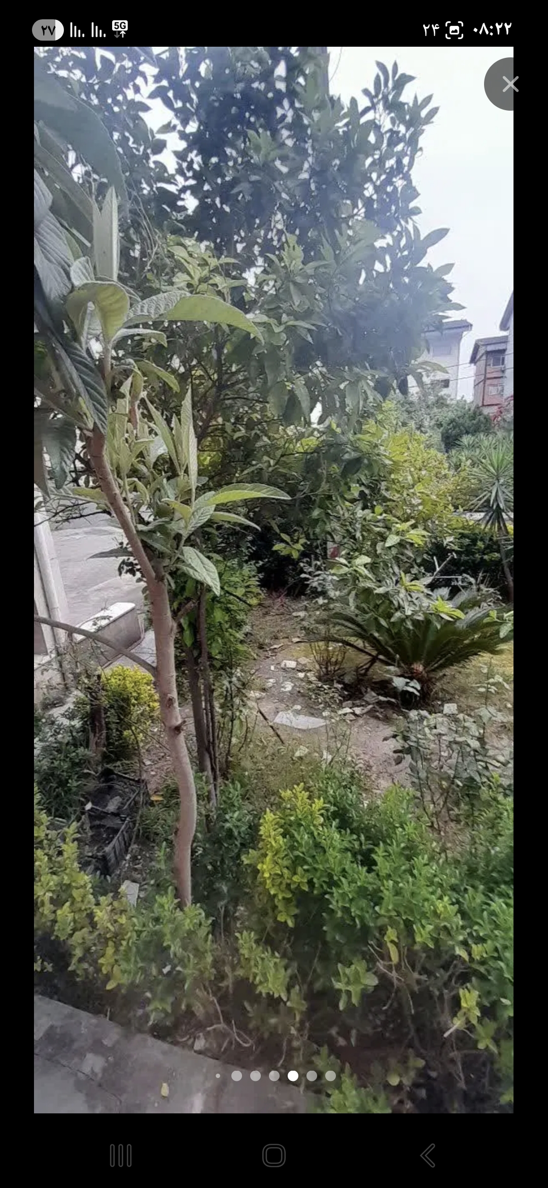 تصویر املاک 42356