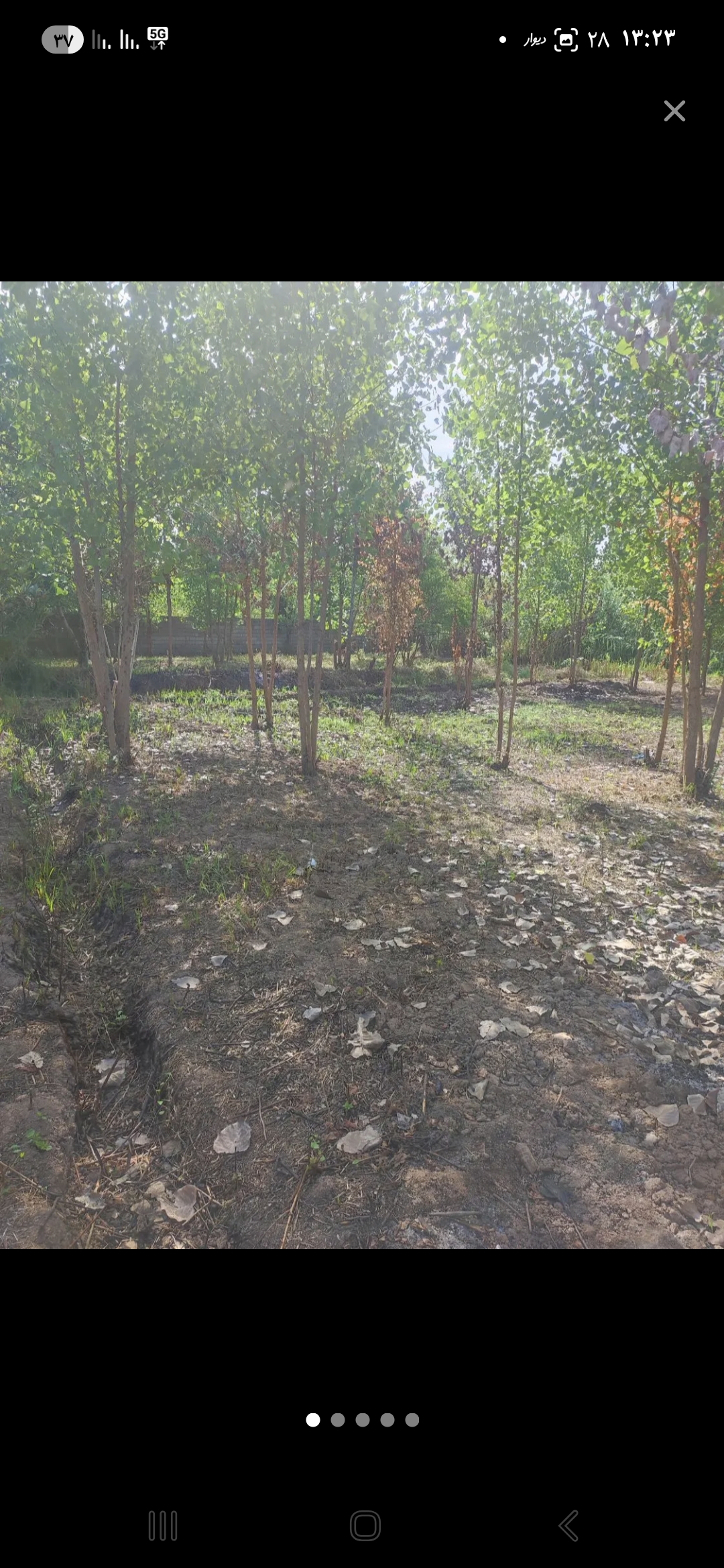 تصویر املاک 44060