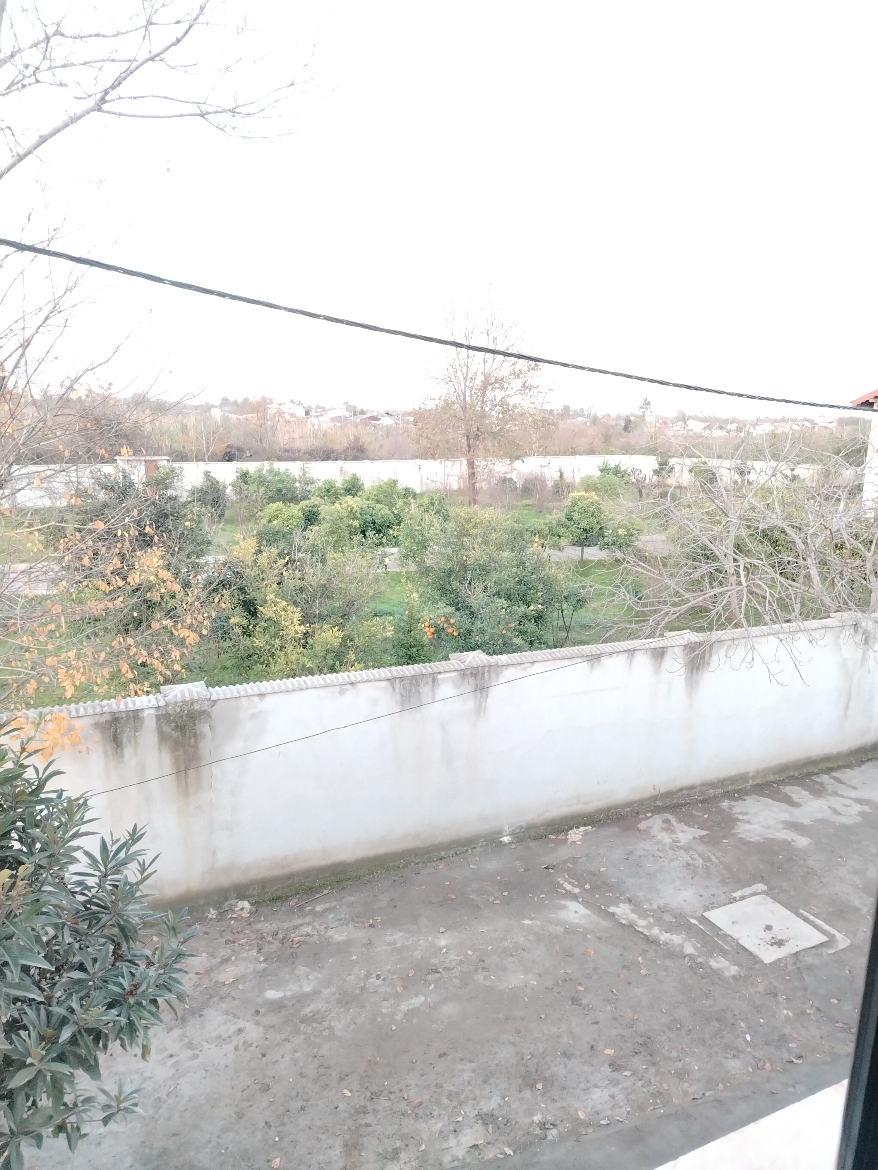 تصویر املاک 23948