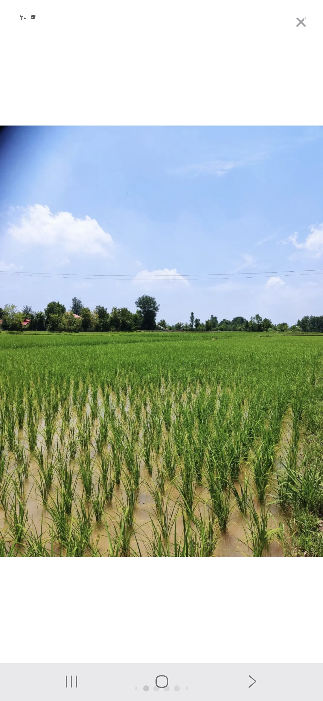 تصویر املاک 77656