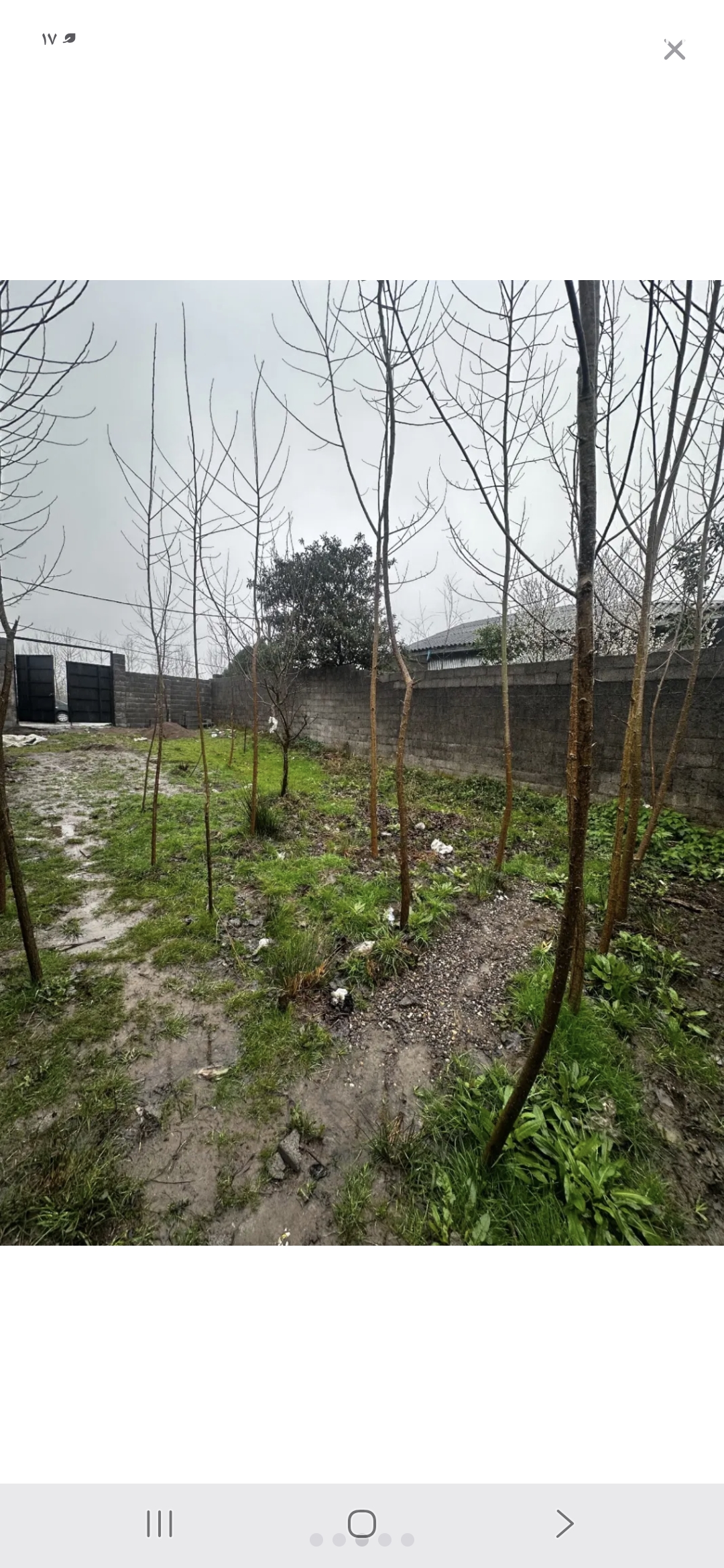 تصویر املاک 91302