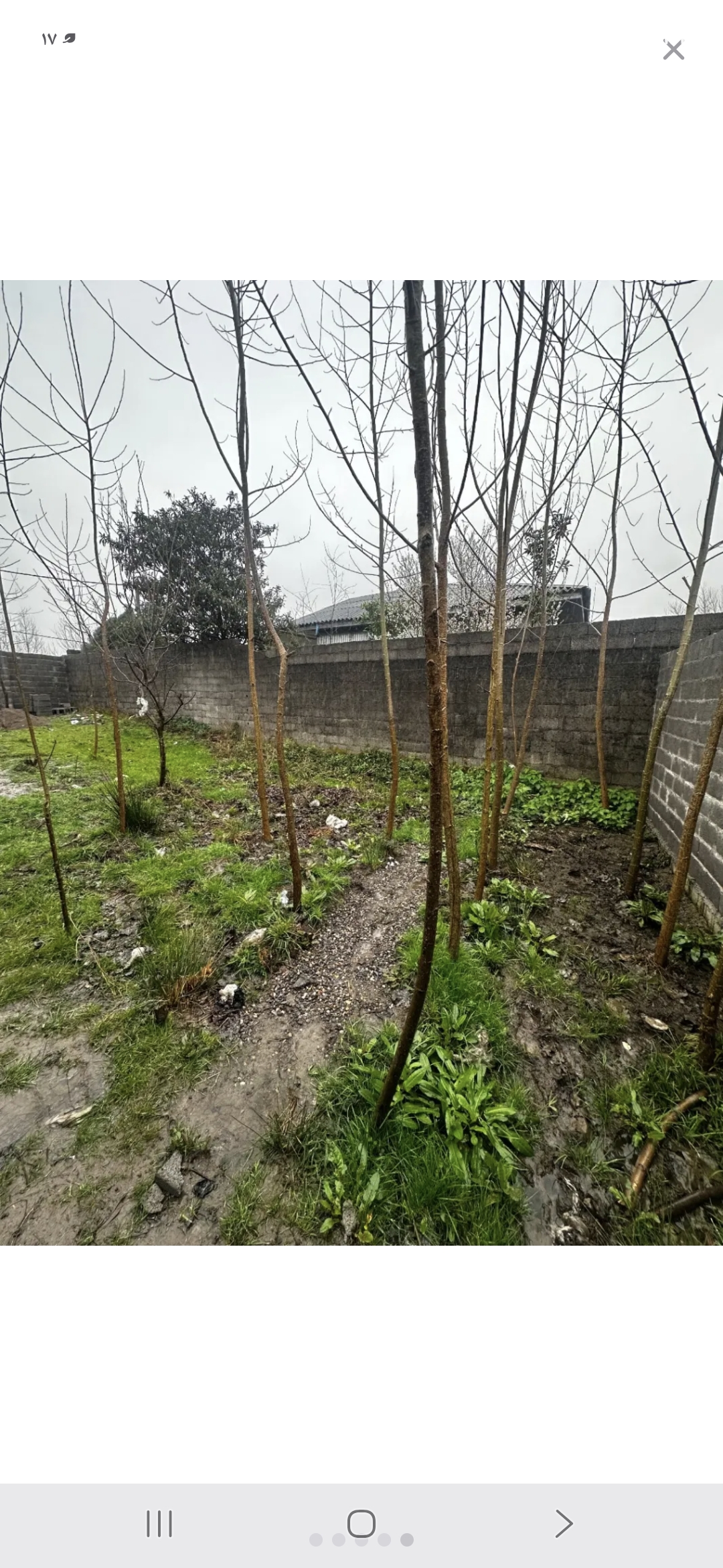تصویر املاک 91304