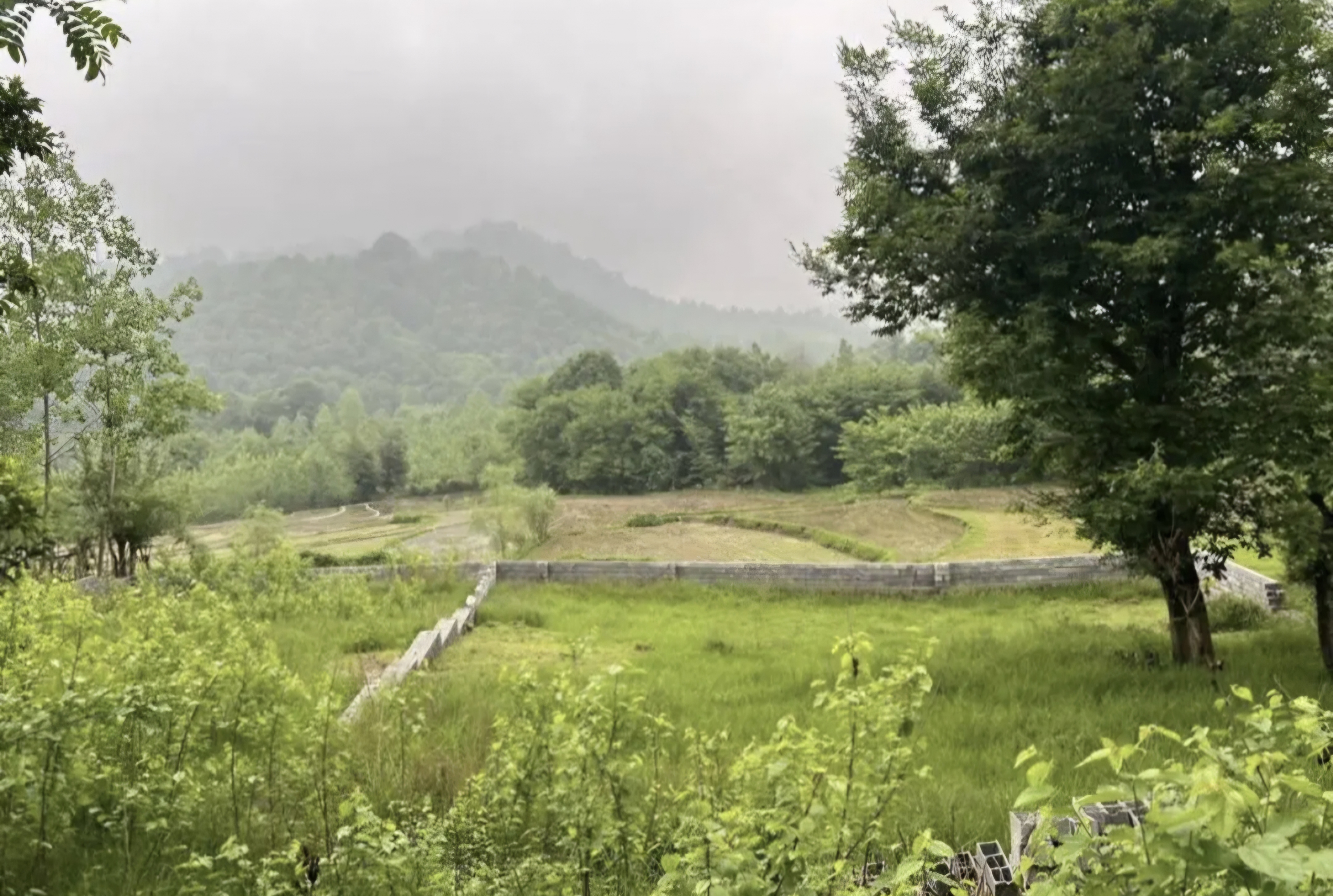 تصویر املاک 114377