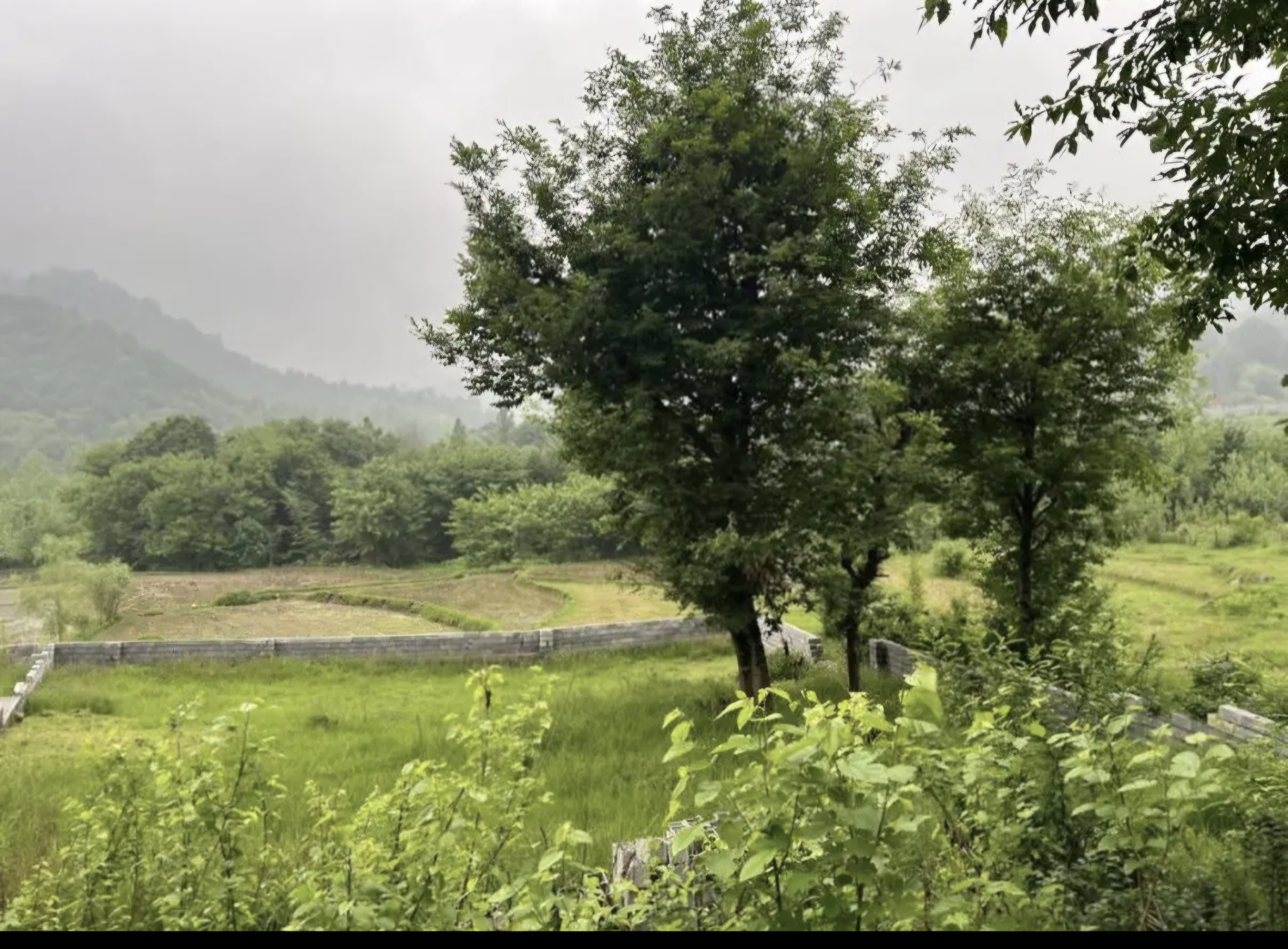 تصویر املاک 114379