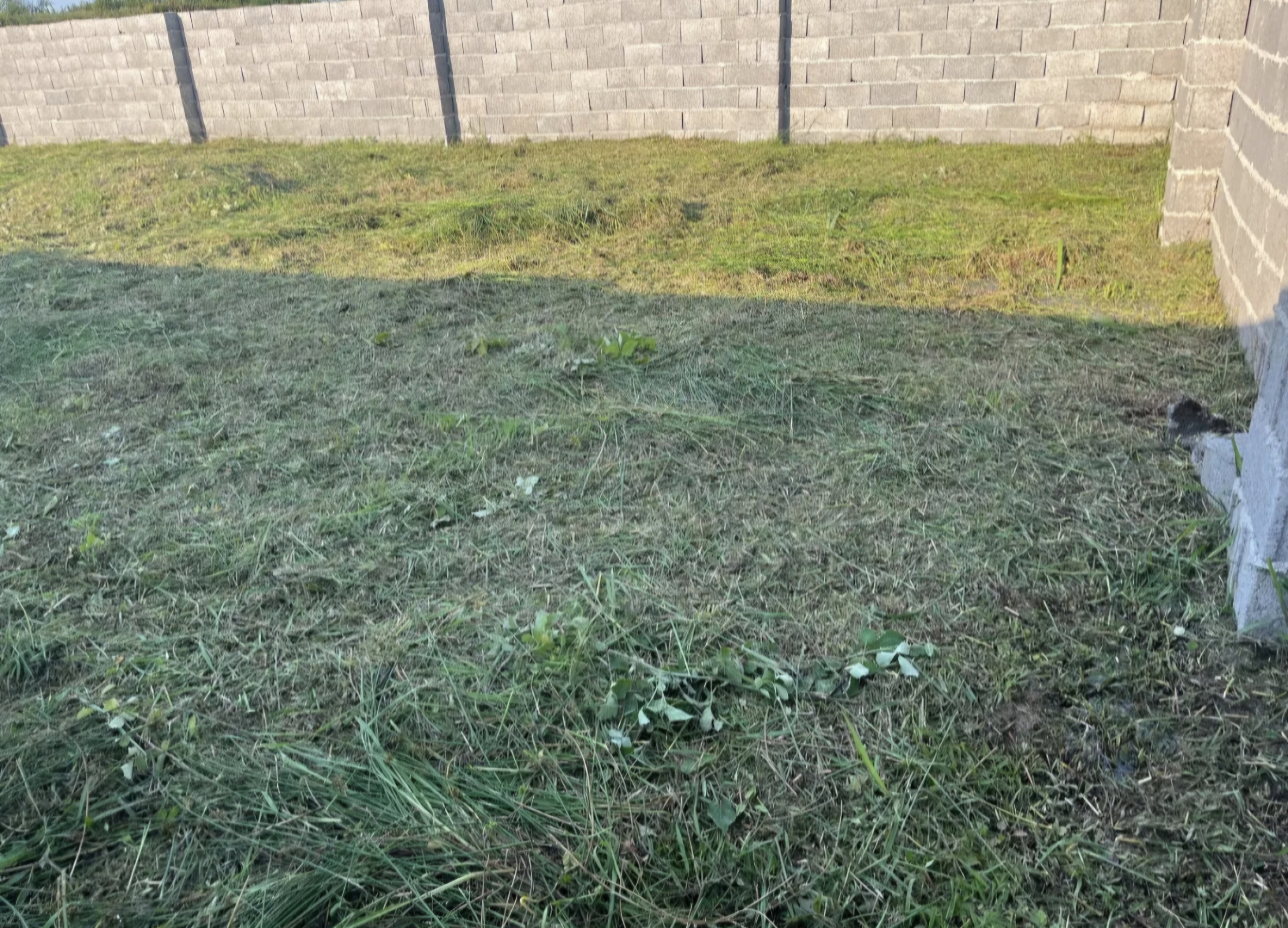تصویر املاک 145533