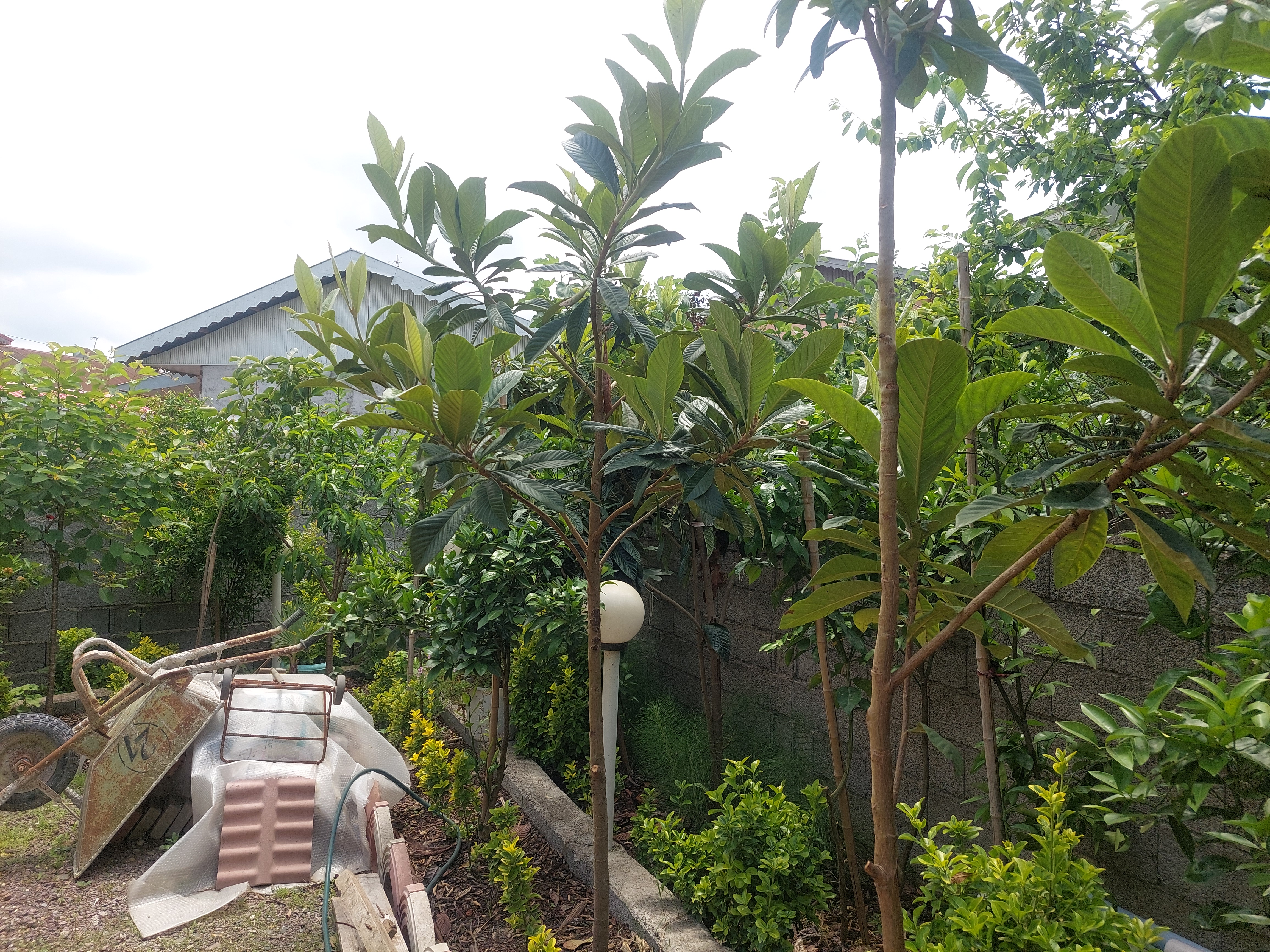 تصویر املاک 53510