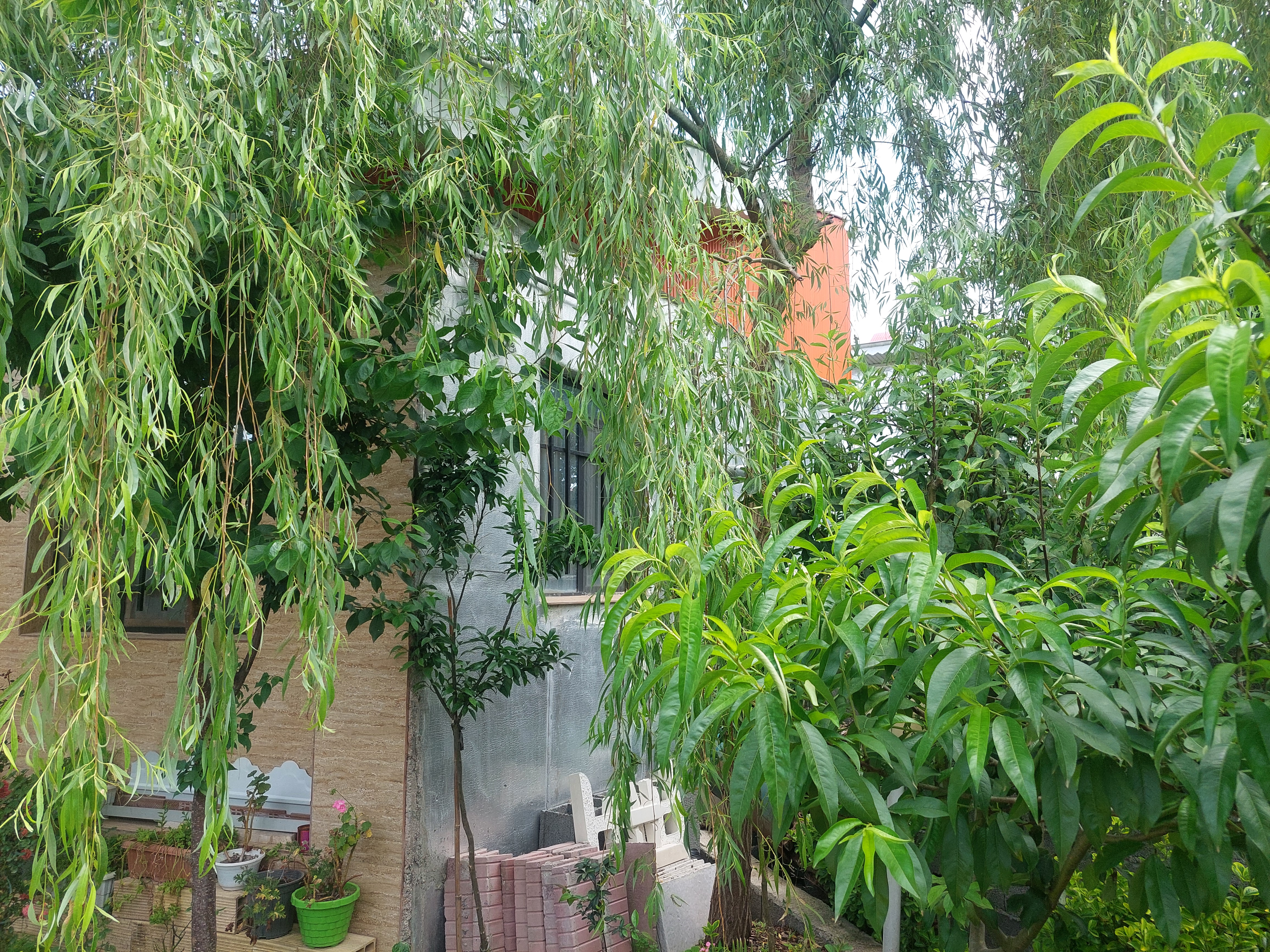 تصویر املاک 53515