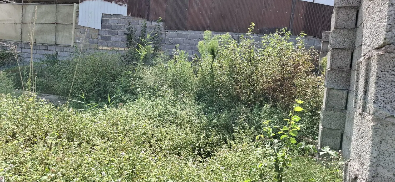 تصویر املاک 133400
