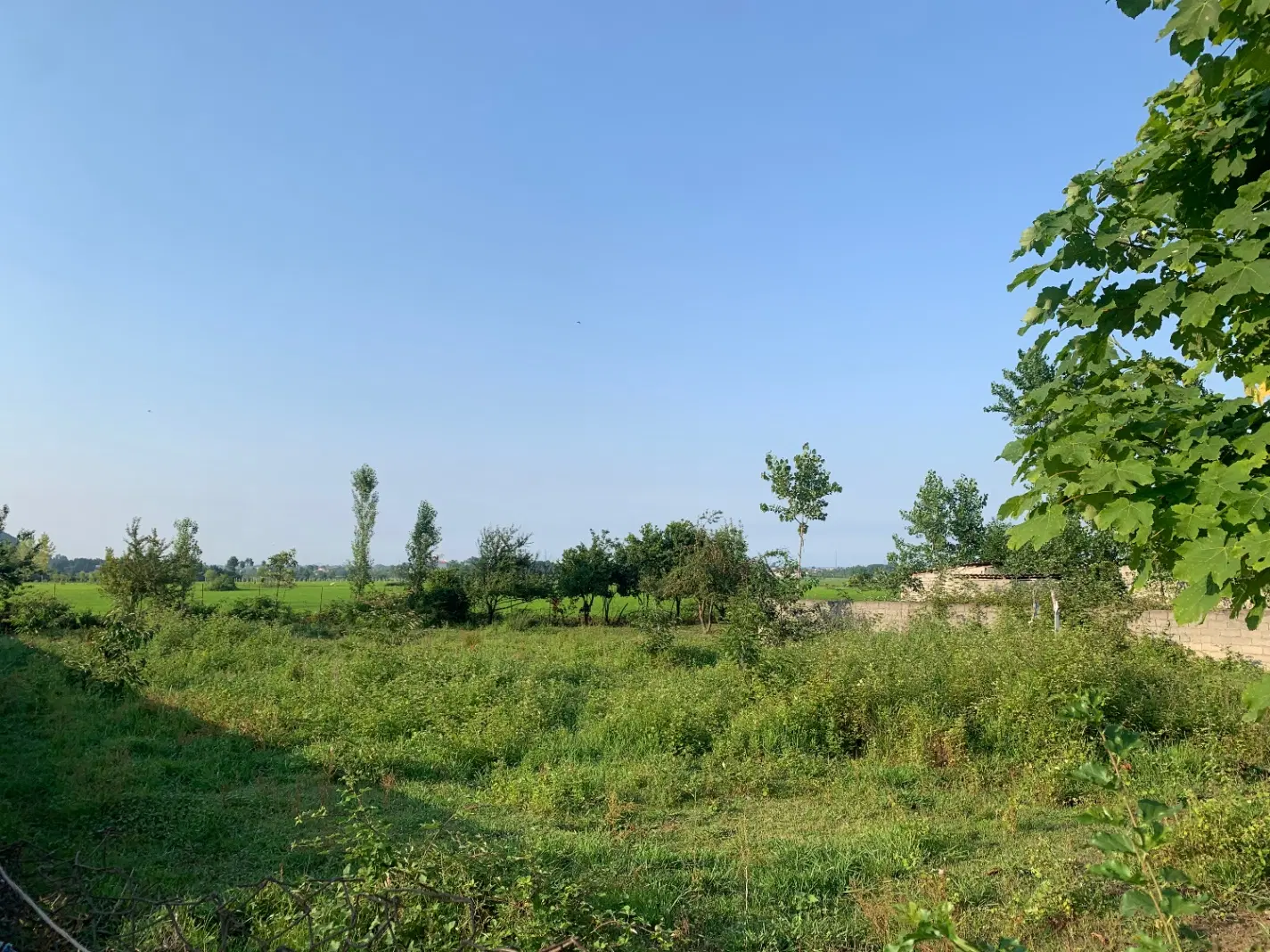 تصویر املاک 57851