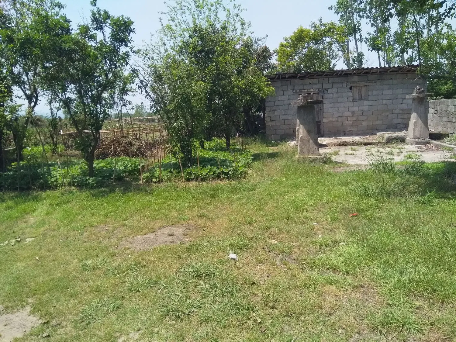 تصویر املاک 123211