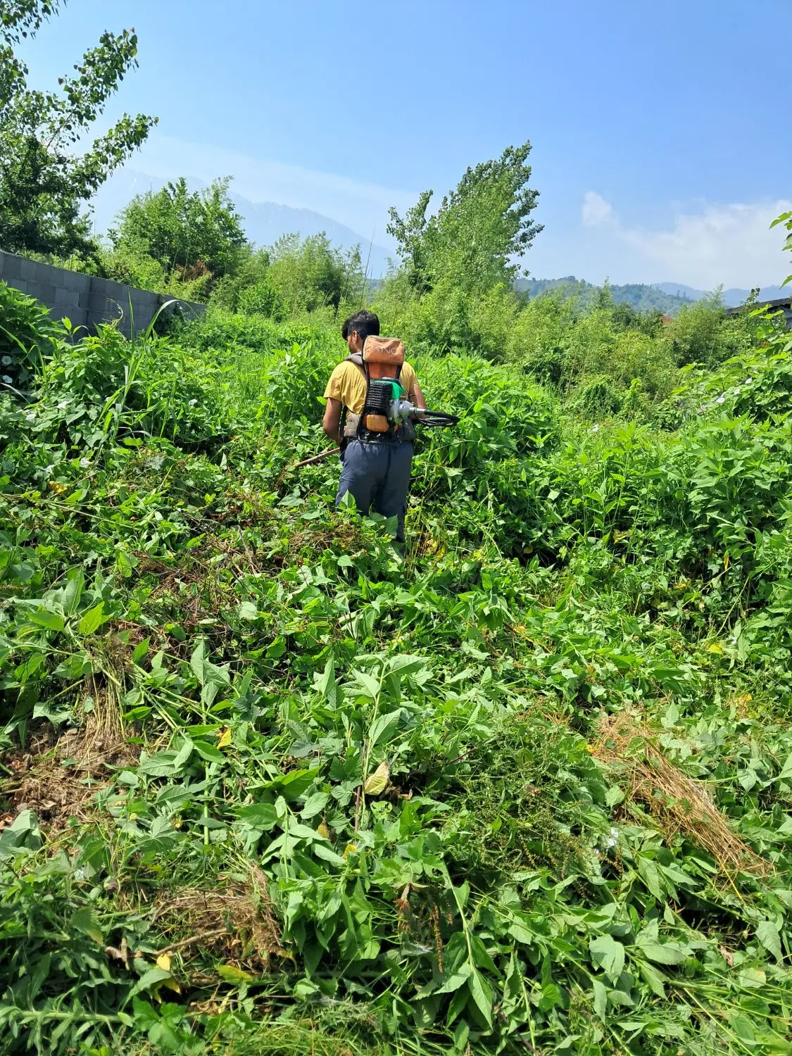 تصویر املاک 49114