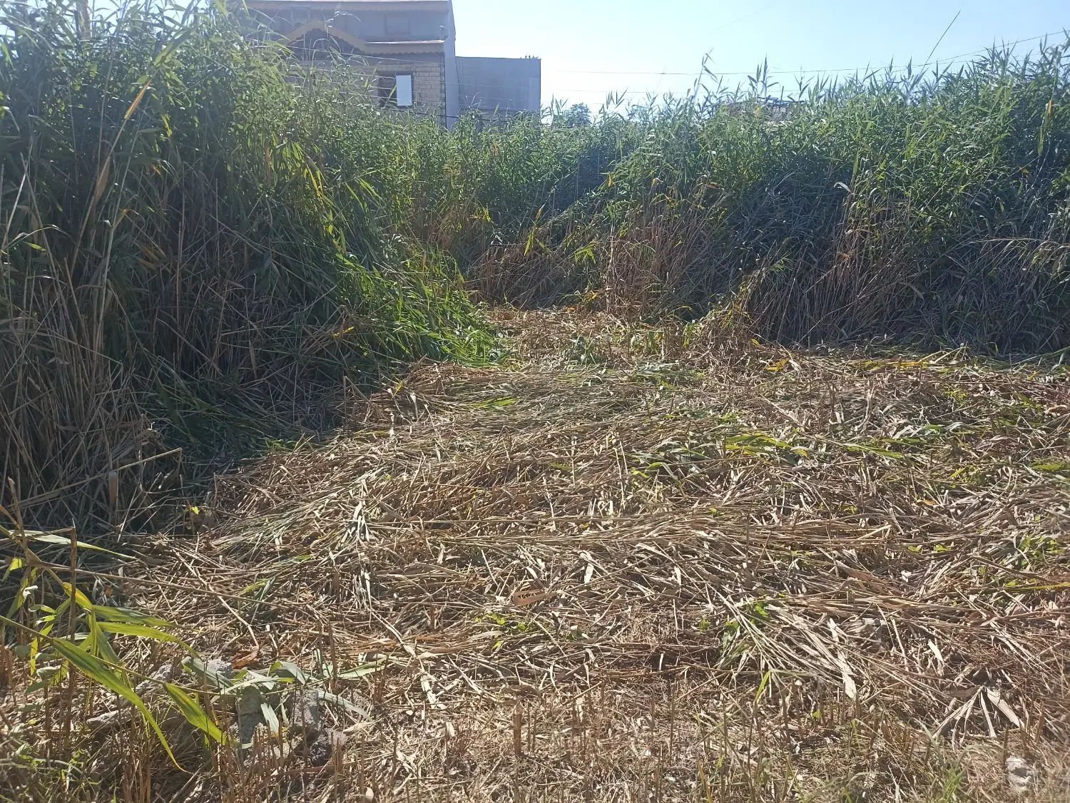تصویر املاک 127400