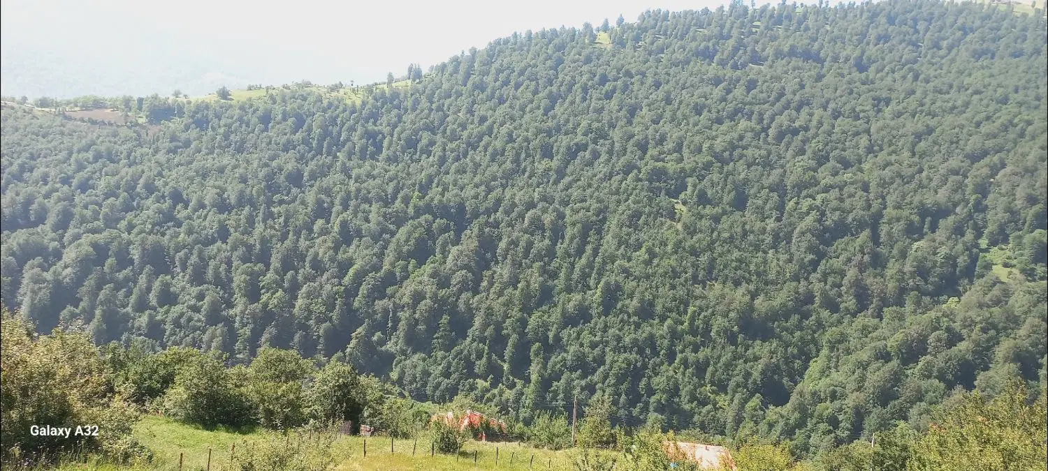 تصویر املاک 108724