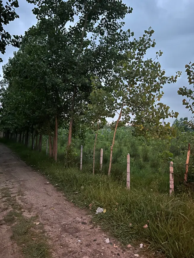 تصویر املاک 105368