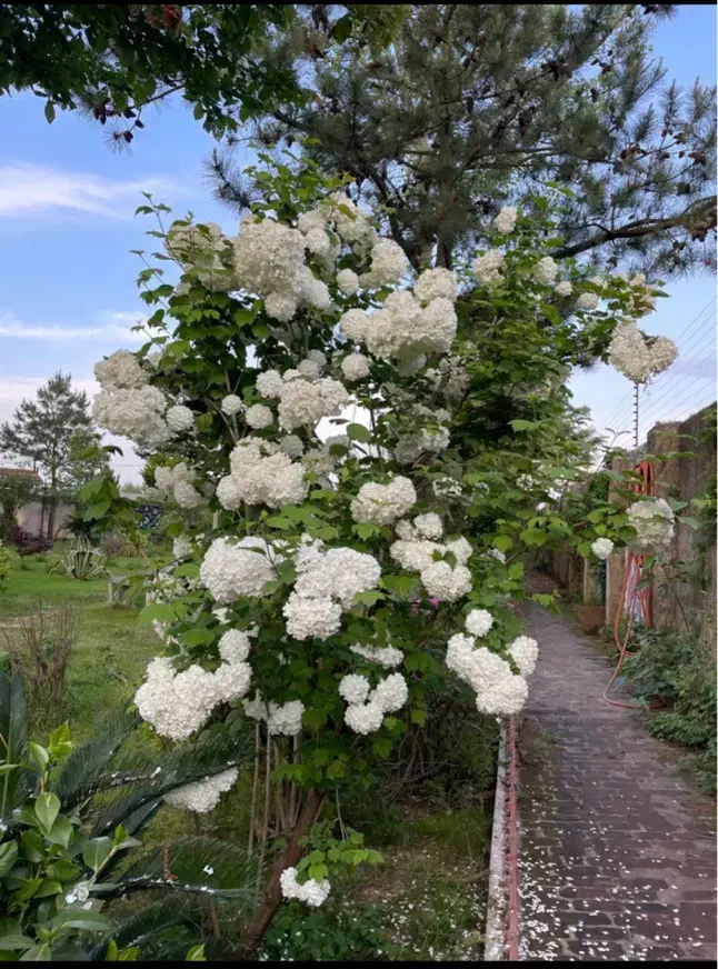 تصویر املاک 20835