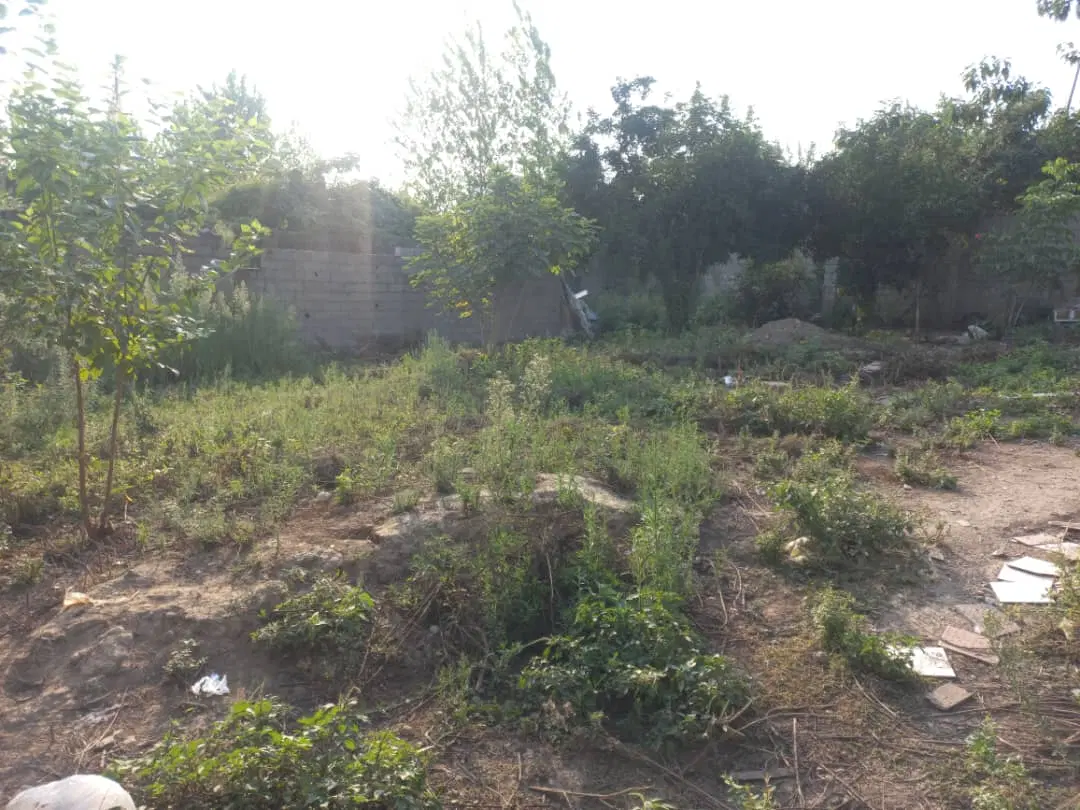 تصویر املاک 133475