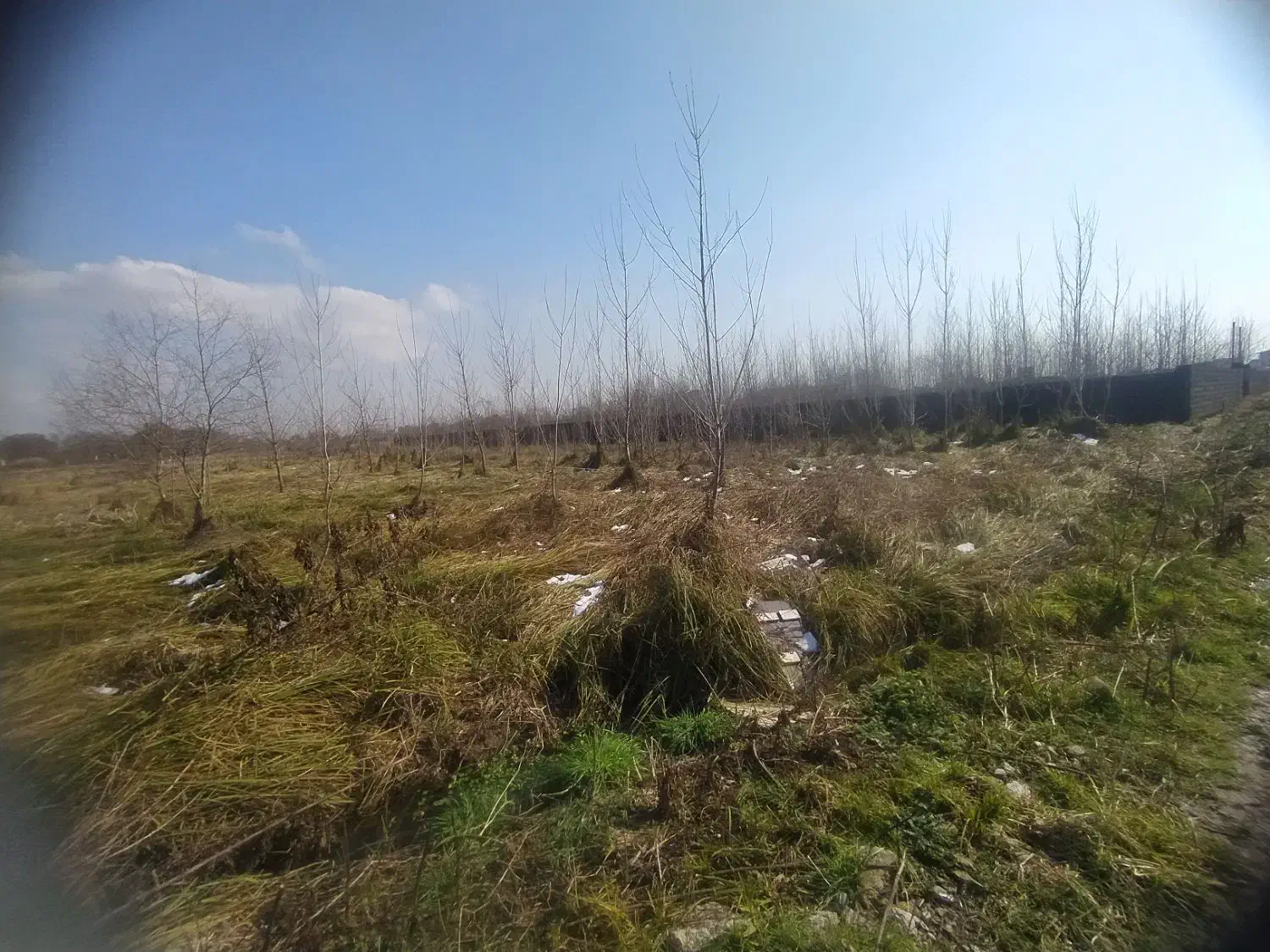 تصویر املاک 15761