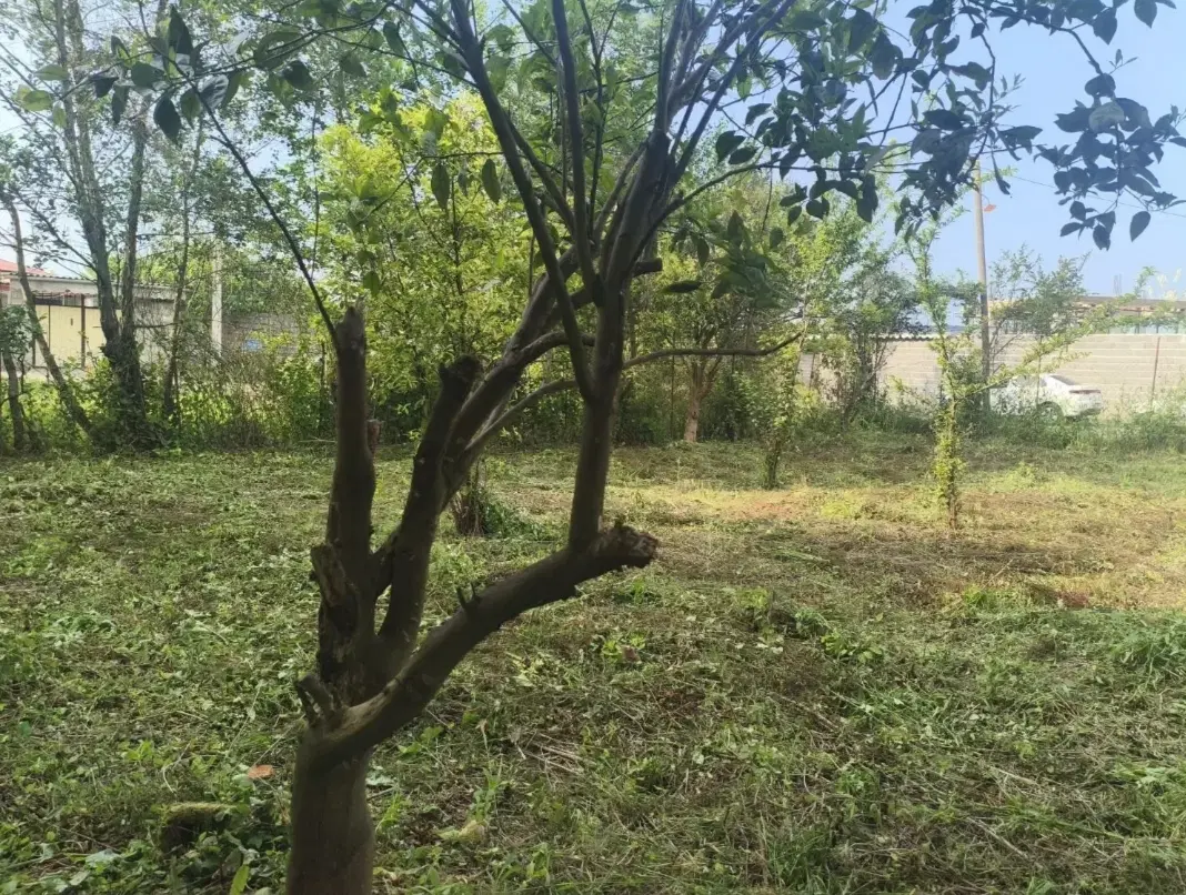 تصویر املاک 105270