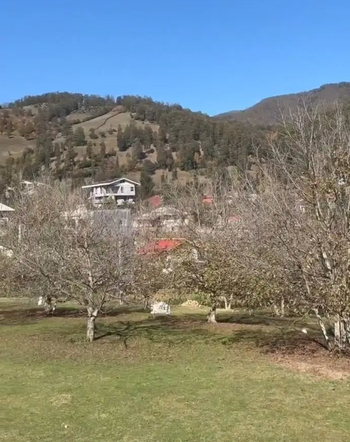 تصویر املاک 137053