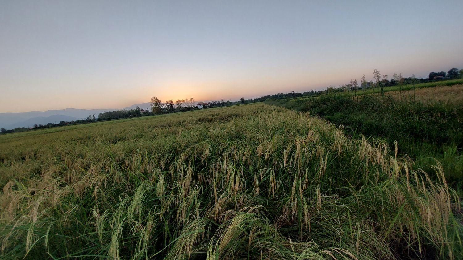 تصویر املاک 3843