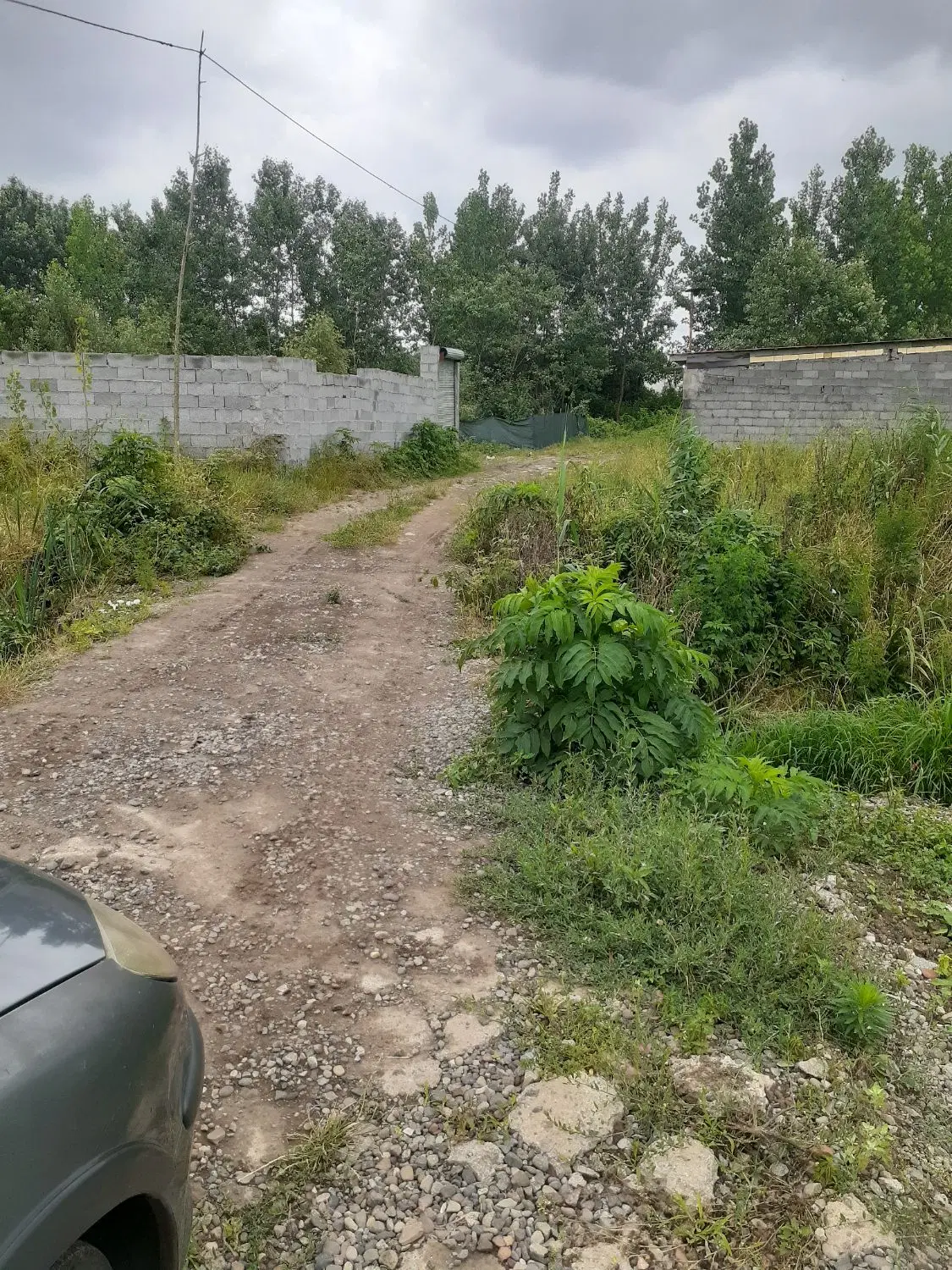 تصویر املاک 57248
