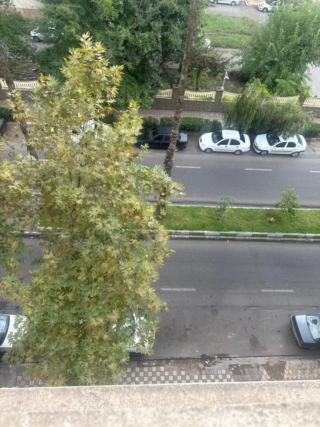 تصویر املاک 124469