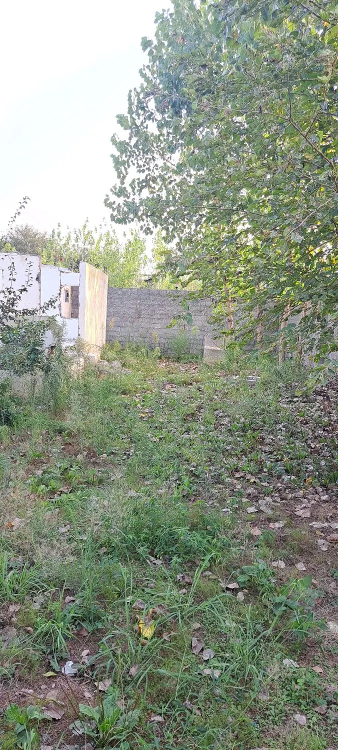 تصویر املاک 118157